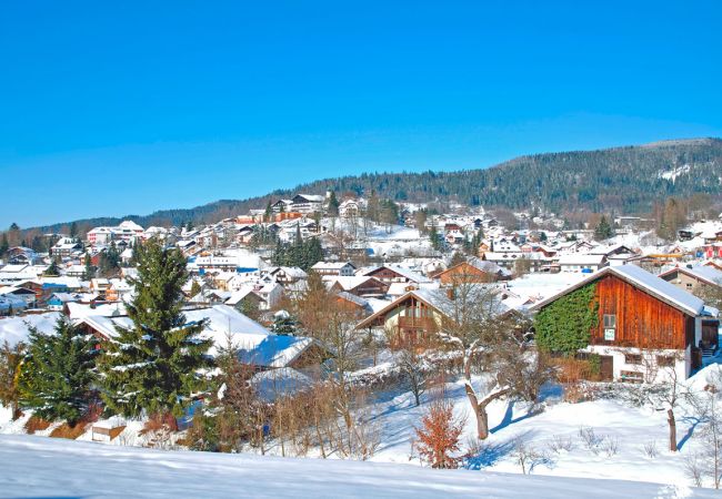 Winterwunderland im Bayerischen Wald